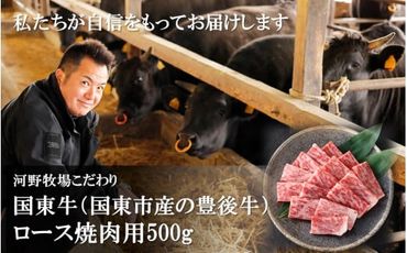 国東牛（国東市産の豊後牛）ロース焼肉用（1口カット）500g_2210R