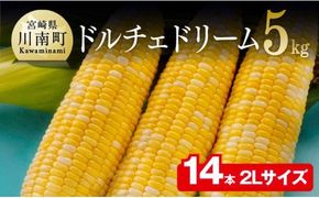 【令和8年発送】宮崎県産とうもろこし　朝どれ！守部さんちのドルチェドリーム (2L)5kg 【 とうもろこし スイートコーン トウモロコシ スィートコーン 令和8年発送 】 [C06406]
