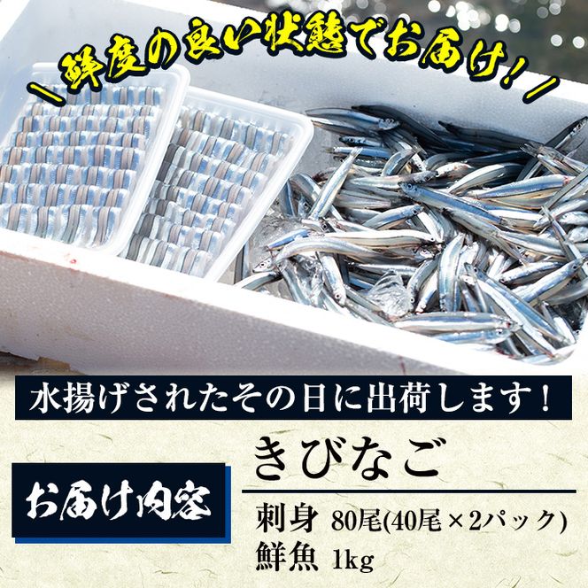 鹿児島県阿久根産！天然きびなごのお刺身(40尾×2パック)と鮮魚(1kg)セット 国産 九州産 鹿児島産 鮮魚 魚介 セット【濱崎魚類】akn023-03