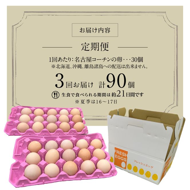 【3ヶ月定期便】名古屋コーチン卵(30個入り)×3回（計90個） [006K01-T]