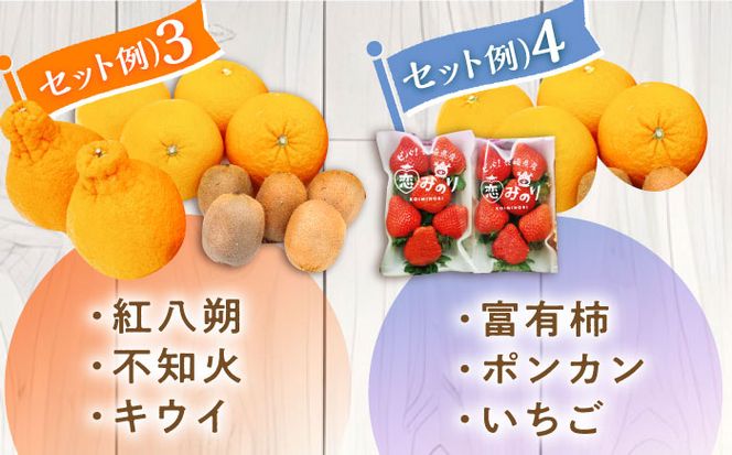 【12回 定期便】季節の果物 詰め合わせ フルーツセット 旬の果物をお任せで2〜3品目お届け (2〜3品目×12回) / 果物 セット 南島原市 / 吉岡青果 [SCZ014]