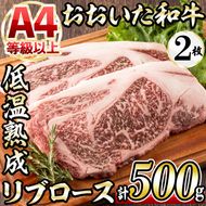 おおいた和牛 リブロースステーキ (計500g・リブロースステーキ約250ｇ×2枚+ステーキソース20g×2袋) 国産 牛肉 肉 霜降り 低温熟成 ステーキ A4 和牛 ブランド牛 BBQ 冷凍 大分県 佐伯市【DH69】【(株)ネクサ】