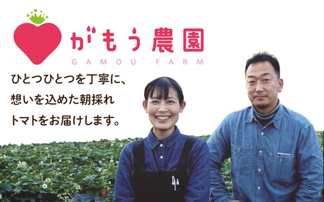 【 先行予約 】朝採り 完熟トマト 4kg（大玉） 鮮度抜群 がもう農園 直送 7月より発送 福島県 田村市