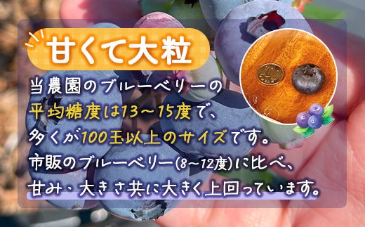 【定期便6カ月】北海道 豊浦町産 冷凍 ブルーベリー 1kg 栽培期間中農薬不使用 TYUS013