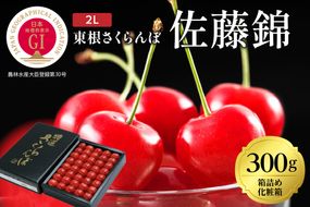 2025年GI東根さくらんぼ「佐藤錦」300g化粧箱詰め(2L) 東根農産センター提供 山形県 東根市 hi027-172-2