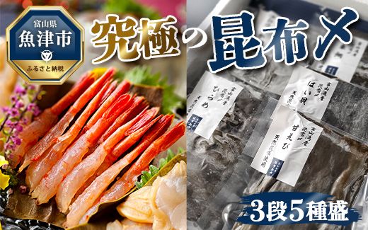 究極の昆布〆、3段5種盛（急速冷凍品）魚卸問屋はりたや 富山県魚津市 昆布締め こぶじめ 刺身 天然昆布