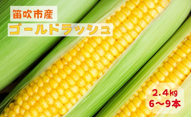 【2026年発送★先行予約】笛吹市八代産とうもろこし「ゴールドラッシュ」2.4kg 167-003-26y