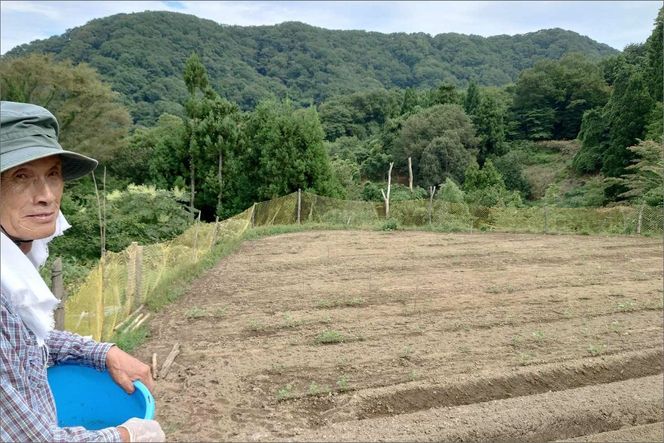味土野大納言ぜんざい（細川ガラシャ隠棲地の小豆～味土野大納言使用～）だいなごん 小豆 あずき ゼンザイ おしるこ 湯煎 和菓子 和スイーツ 　UY00001