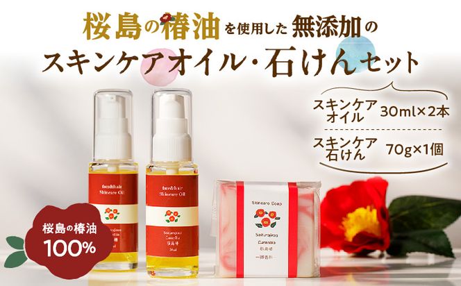 ysz֖̒gpỸXLPAICE΂Zbg@K225-007