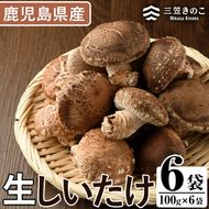 数量限定！原木生しいたけ(6袋・計1.2kg)国産 椎茸 シイタケ きのこ 個包装【三笠えのき茸生産組合】a-12-219-z