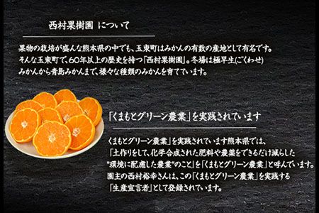 『西村果樹園』のみかん 約8kg(2S-2Lサイズ)《10月上旬-1月下旬頃出荷》【日付指定不可】予約受付中 フルーツ 秋 旬★熊本県玉名郡玉東町『西村果樹園』みかん 減農薬・有機肥料で育てた自慢のおいしさ！熊本県玉名郡玉東町---sg_nkjmikan_ak101_24_14000_8kg---