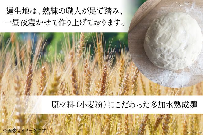 うどん 麺 古式熟成 手打ち 生うどん 300g 8パック めんつゆ 500ml セット [ 武州めん 埼玉県 小川町 003] 麺 饂飩 手作り 生麺 冷蔵 2人前 8食