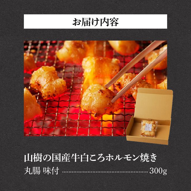 山樹の国産牛白ころホルモン焼き（丸腸）味付　300g [047R19]