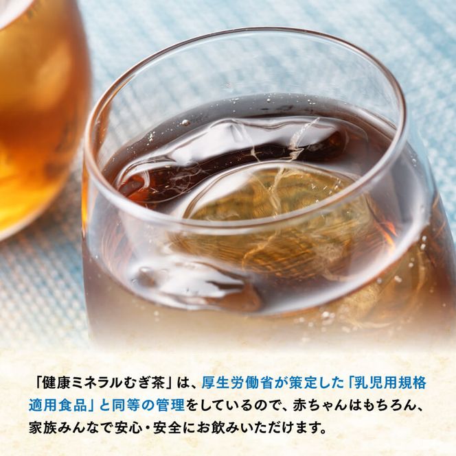健康ミネラルむぎ茶650ml×24本×2ケースPET 飲料類 お茶 麦茶 [F7350-0]