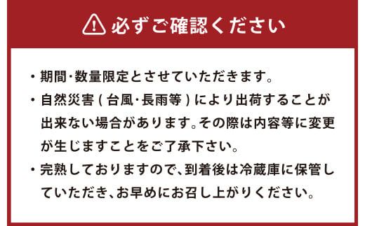 ＜宮崎県産 完熟マンゴー 4L×2玉(合計 約1kg)＞ ※2026年5月上旬～7月中旬までに順次出荷 マンゴー 果物 くだもの フルーツ 完熟 南国