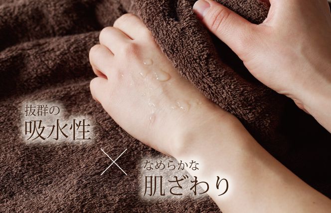 G2435 【スピード発送】ふわふわソフト バスタオル 3枚 チョコレートブラウン ホテルスタイル 60×120cm 【泉州タオル 国産 吸水 普段使い シンプル 日用品】