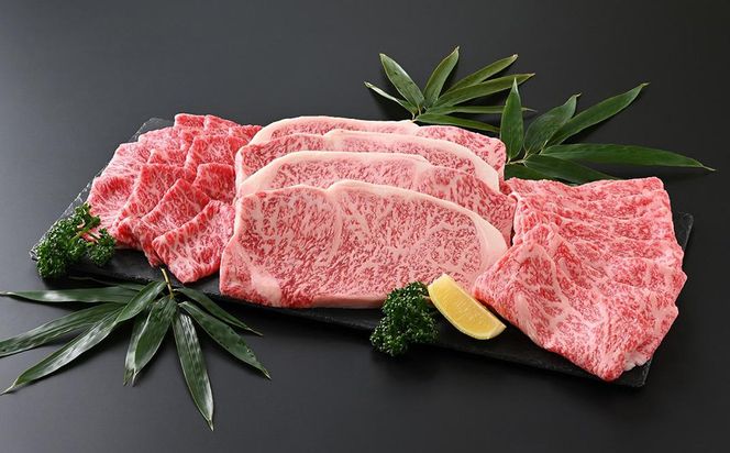 白老和牛ステーキ・すきしゃぶセット（B）《敷島ファーム》 BF006 