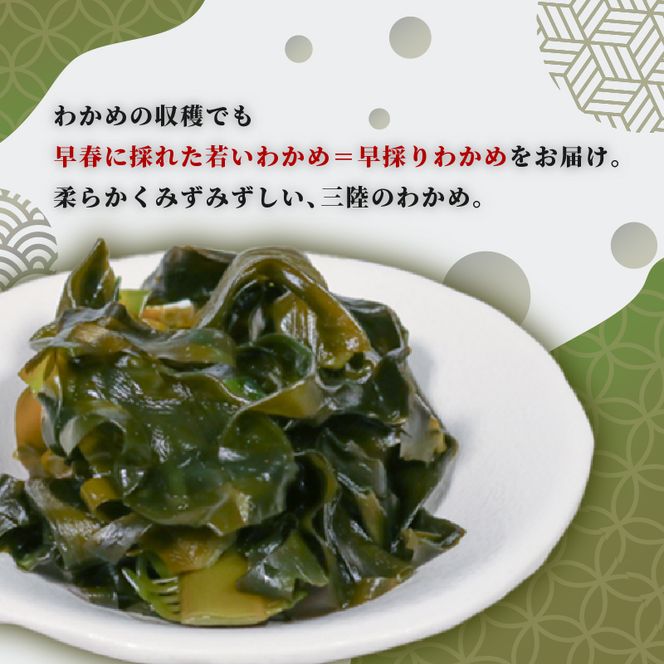 三陸産 早採りわかめ 100g×11パック 計1.1kg 冷凍 小分け [nomura034]