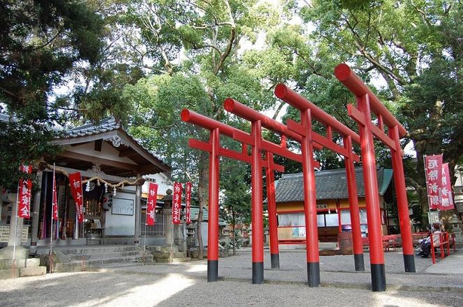 220 語り部と歩きたび★熊野古道★時さかのぼるありだ【完歩証付き】 (A220-1)