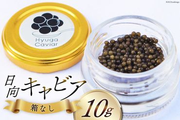 キャビア 日向キャビア (Hyuga Caviar) 10g 箱なし [ウィズ・クリエイティブ 宮崎県 日向市 452060321] 冷凍 宮崎 国産 チョウザメ フレッシュ