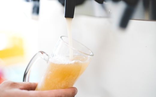 和歌山の地ビールブルーウッドブリュワリー飲み比べ6本セット BY03