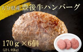 【黒毛和牛】豊後牛ハンバーグ計1.02kg(170g×6個)_2378R