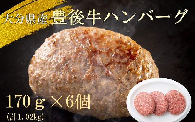 【黒毛和牛】豊後牛ハンバーグ計1.02kg(170g×6個)_2378R