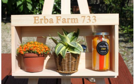 【農家こだわりの 野菜 使用】 ピクルス + 京築ヒノキ イーゼル セット《築上町》【ERBA　FARM733】[ABAP005]