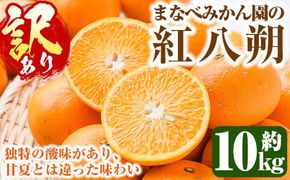 ＜先行予約受付中！2025年2月上旬以降発送予定＞＜訳あり・不揃い＞まなべみかん園の紅八朔(約10kg)国産 柑橘類 みかん 蜜柑 果物【有限会社まなべみかん園】a-12-237-z