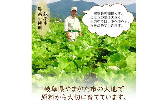 美濃山県元気ファーム　山県市産ごぼう茶120g [No.665]