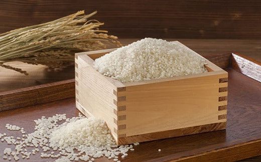 春鶯囀純米酒「鷹座巣」1.8L　日本酒 お酒 地酒 清酒 銘酒 熱燗 春鶯轉 富士川町 山梨 やまなし ギフト 贈答 純米酒