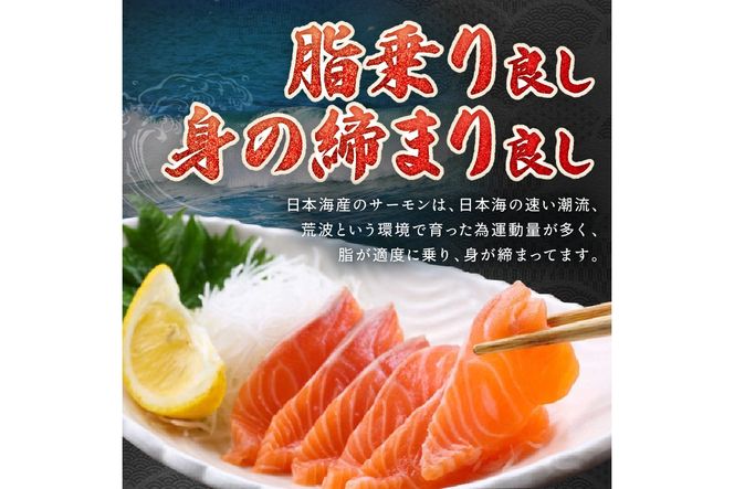 【数量限定100】絶品！お手軽！骨抜き！日本海産 サーモンフィーレ 約1.3kg　サーモン 魚 魚介 海鮮 おかず おつまみ 刺身 カルパッチョ ふるさと納税 サーモン 刺身 鮭 フィレ 海鮮丼 寿司 サラダ ソテー 冷凍 お取り寄せ グルメ YK00161