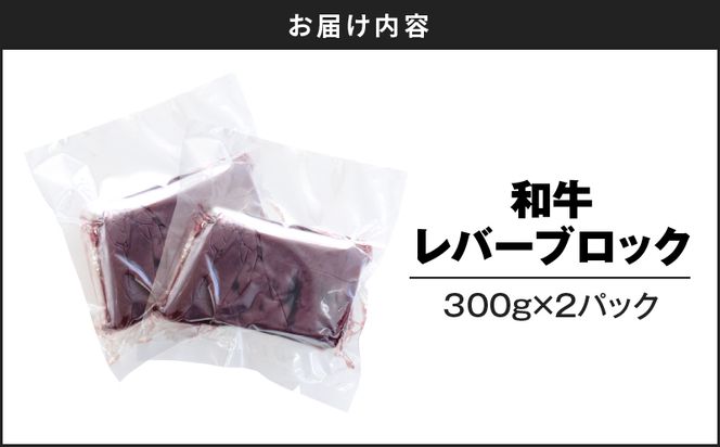 和牛レバーブロック600g（300g×2パック）　K002-040