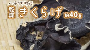 八千代町産 乾燥 きくらげ 約 40g キクラゲ 木耳 きのこ キノコ 乾燥 ふるさと納税 6000円 茨城県 八千代町 [CW002ya]