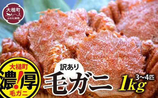 [令和7年発送][訳あり]三陸産活毛ガニ1kg(2〜4杯(2~4尾))[2025年2月〜4月発送][配送日指定不可][0tsuchi00957-24-3][08]