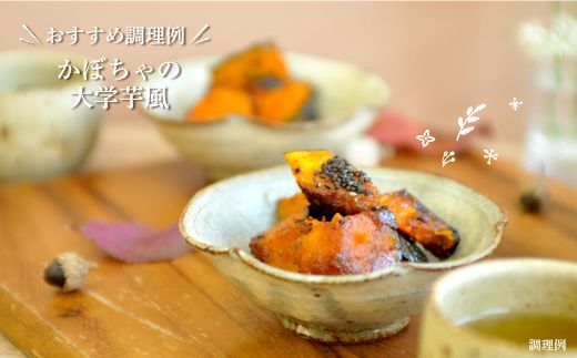 《令和8年分》数量限定！季節のお野菜詰め合わせ 秋(配送時期：9月～10月)【01018】