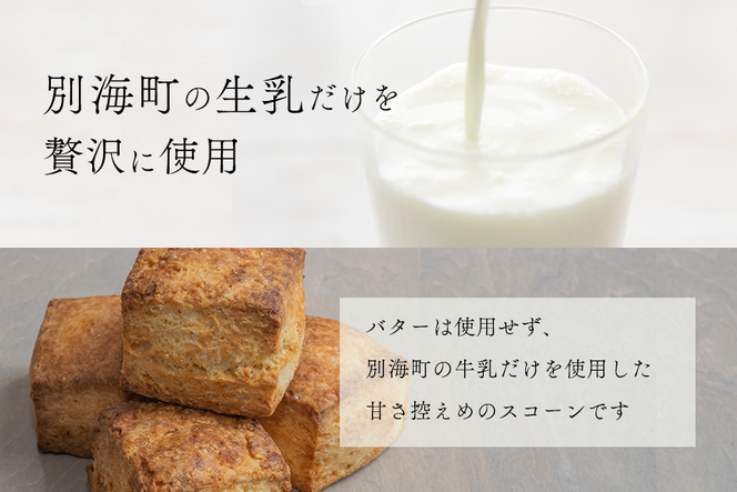 Milk Scone（プレーン1種×6個）【CJ0000239】