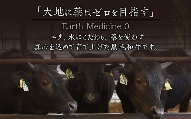 宮崎県産黒毛和牛100％グリルハンバーグ1.5kg_M297-002