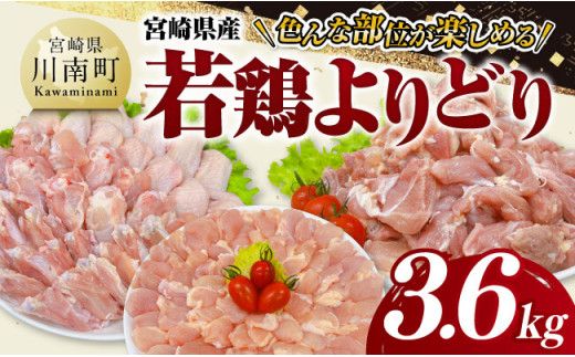 宮崎県産 若鶏 よりどり 3.6kg [ もも 手羽先 チキンリブ 肩肉 鶏肉 とり肉 料理 便利 ][C11624]