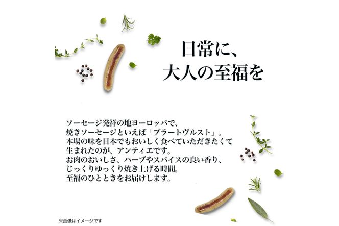 ソーセージ アンティエ オリーブ & バジル  標準8本入 10パック 計80本 [ 日本ハム マーケティング 静岡県 吉田町 22424105] 冷蔵 小分け ウインナー ウィンナー 弁当 おかず 無塩せき 発色剤なし ハーブ ハーブソーセージ