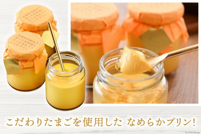 濃厚 プリン 6個 たまご 10個 ×2種 温泉たまご 8個 だし付き [ナカヤマエッグ 石川県 宝達志水町 38600467] 卵 タマゴ 桜っ子 能登鶏 ぷりん 食べ比べ お試し セット 詰め合わせ 卵かけご飯 卵かけ ご飯 たまごかけごはん スイーツ