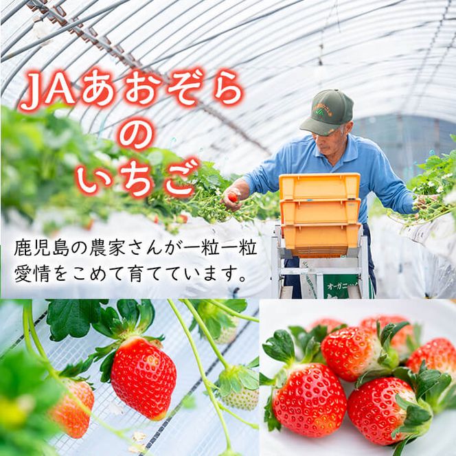 さがほのか使用！あおぞらさん家の苺ムース 55g×6個 a2-099