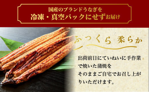 うなぎ白焼き　5尾（120g以上×5尾） | メディアに紹介されたうなぎ屋 国産 冷蔵 うなぎ 鰻 ウナギ タレ・山椒つき しら焼き ※離島への配送不可