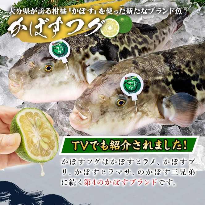 数量限定＞かぼすふぐセット(4-5人前)ふぐ フグ あら アラ 鍋用 刺身