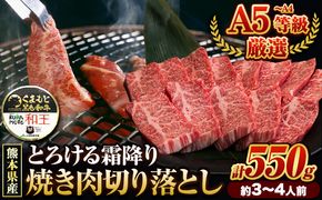 くまもと黒毛和牛 和王 バラ 霜降り 焼肉切り落とし 550g A5 A4 等級《30日以内に出荷予定(土日祝除く)》熊本県 玉東町 黒毛和牛 牛肉 冷凍 個別 取分け 小分け チャック付き バラ凍結 肉 お肉 焼き肉 焼き肉用---gkt_fwow_30d_24_12000_550g---