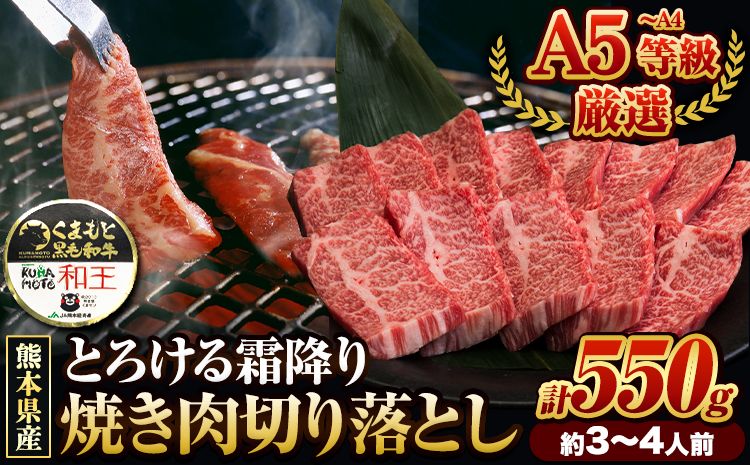 くまもと黒毛和牛 和王 バラ 霜降り 焼肉切り落とし 550g A5 A4 等級[30日以内に出荷予定(土日祝除く)]熊本県 大津町 黒毛和牛 牛肉 冷凍 個別 取分け 小分け チャック付き バラ凍結 肉 お肉 焼き肉 焼き肉用---oz_lcl_230_550g---