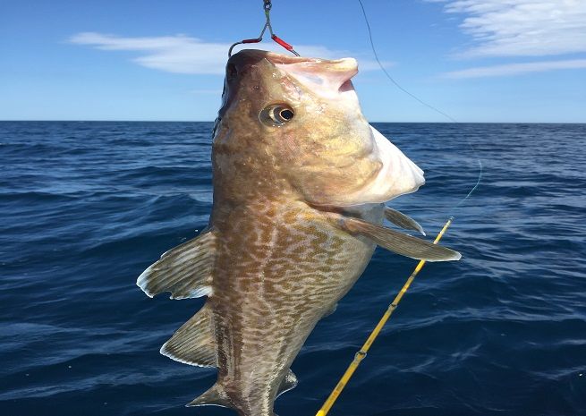 9069..ワッカヌプリ宿泊券 3名様オホーツク釣りプラン