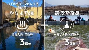 【 八千代グリーンビレッジ 憩遊館 やちよ乃湯 】 温泉 入浴 回数券 3回分 ＋【 筑波流源湖 】 ヘラブナ釣り 回数券 3回分 つり 利用券 体験 チケット セット [AN011ya]