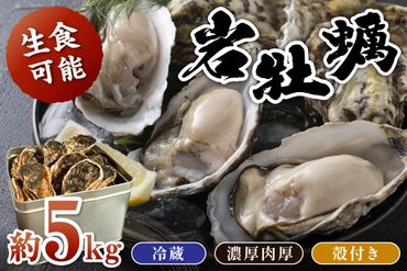 京都・京丹後産　鮮度抜群！濃厚肉厚岩牡蠣（生食用）約5kg（約10個）（殻付き・かんかん入り・冷蔵・ナイフ付き） AH00005