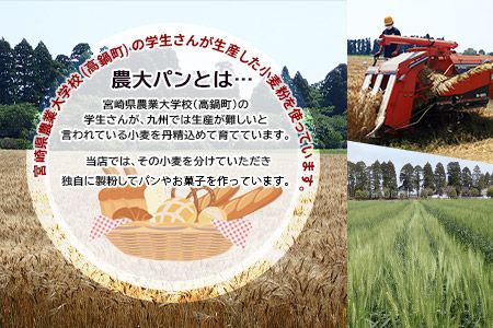 ＜YASUKICHIベーグル(農大パン)7種類16ケ入＞翌月末迄に順次出荷【c442_sk_x2】